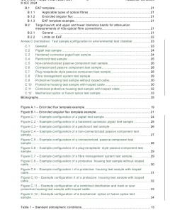 IEC 61300-1 Ed. 5.1 en:2024 pdf