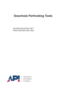 API SPEC 19PT First Edition 2022 PDF