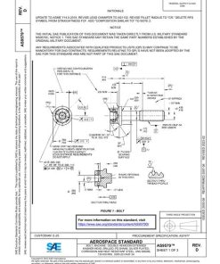 SAE AS9579D pdf