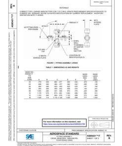 SAE AS85421/7B pdf