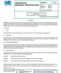 SAE AMS6290L pdf