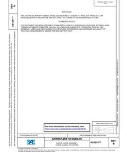 SAE AS1291B pdf