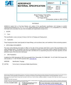 SAE AMS4614J pdf