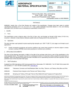 SAE AMS4981J pdf