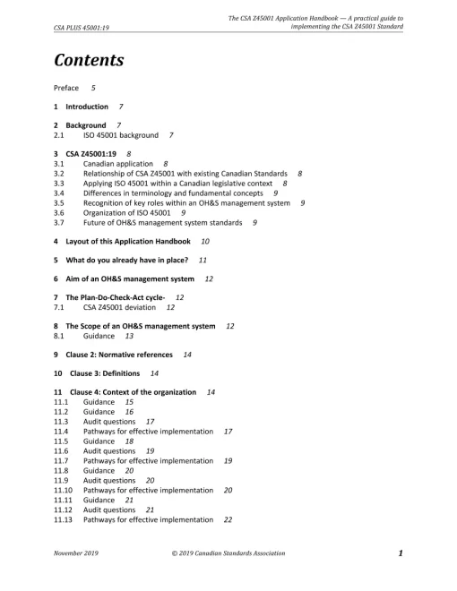 CSA PLUS 45001:19 pdf