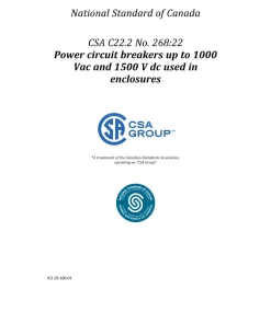 CSA C22.2 No. 268:22 pdf