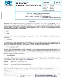 SAE AMS6272P pdf