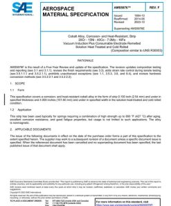 SAE AMS5876F pdf