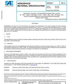 SAE AMS5960B pdf