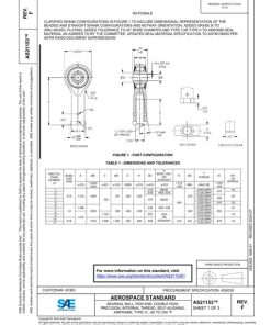 SAE AS21153F pdf