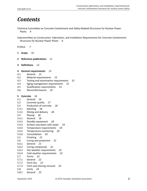 CSA N287.4:19 pdf