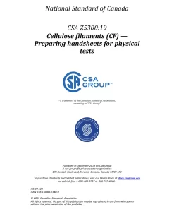 CSA Z5300:19 pdf