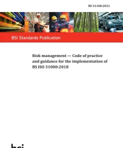 BS 31100:2021 pdf