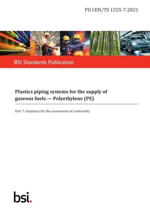 BS PD CEN/TS 1555-7:2021 pdf