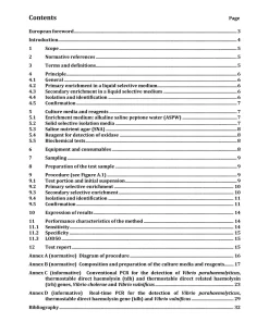 BS PD CEN/TS 17711:2022 pdf