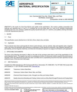 SAE AMS7707F pdf