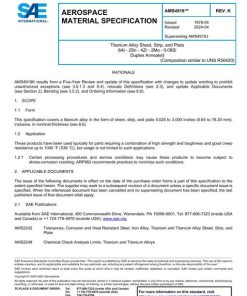 SAE AMS4919K pdf