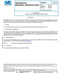 SAE AMS2809B pdf