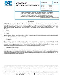 SAE AMS5919C pdf