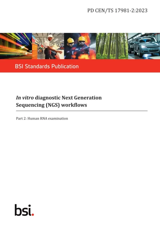 BS PD CEN/TS 17981-2:2023 pdf